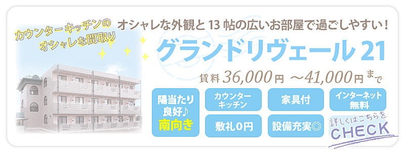 間取り重視の方に人気。カウンターキッチン、シャンプードレッサーも付いた使いやすい間取りです。